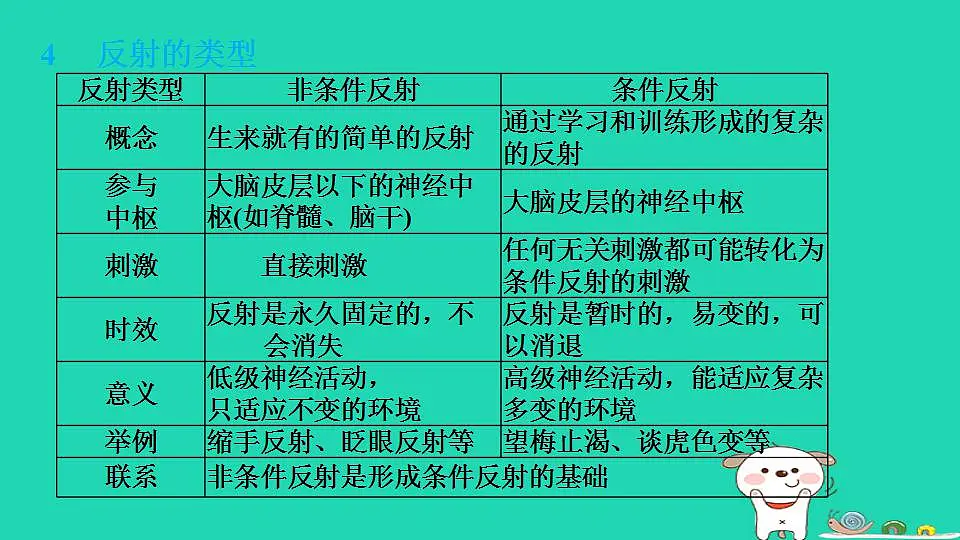 17844145第8页