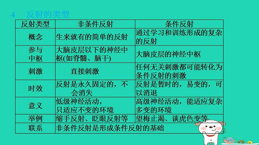 17844145第8页