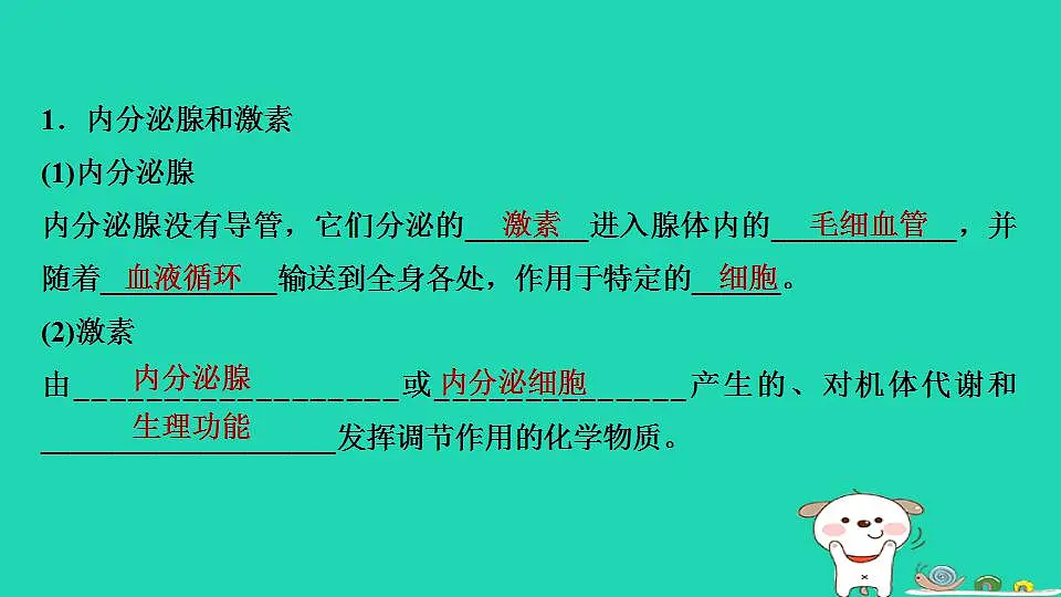 17844146第3页