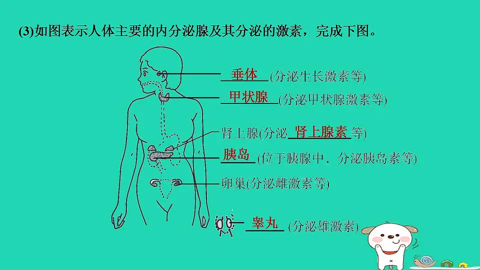17844146第4页