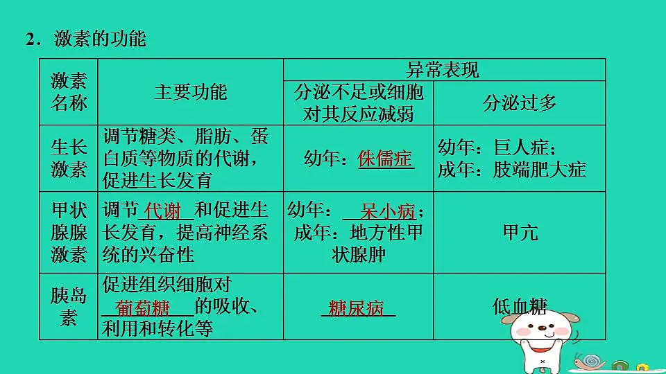17844146第5页
