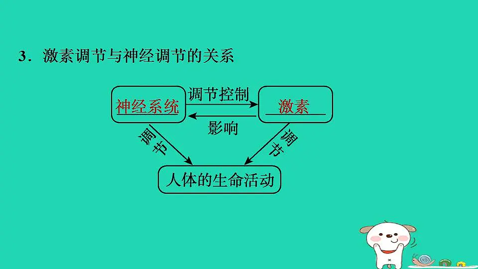 17844146第7页