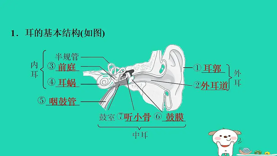17844147第3页