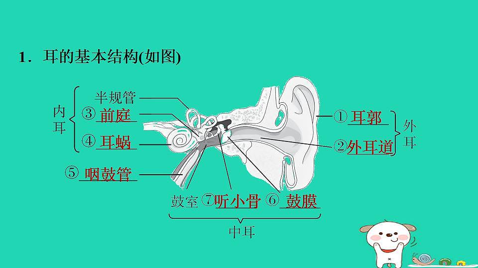 17844147第3页