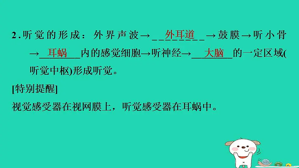 17844147第5页