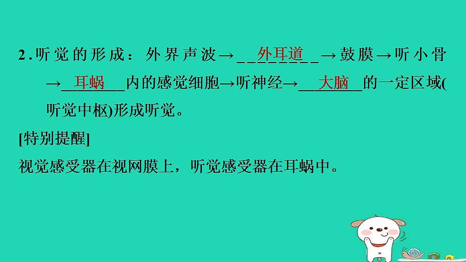 17844147第5页