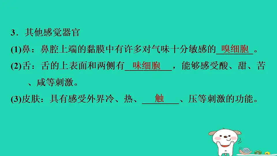 17844147第6页