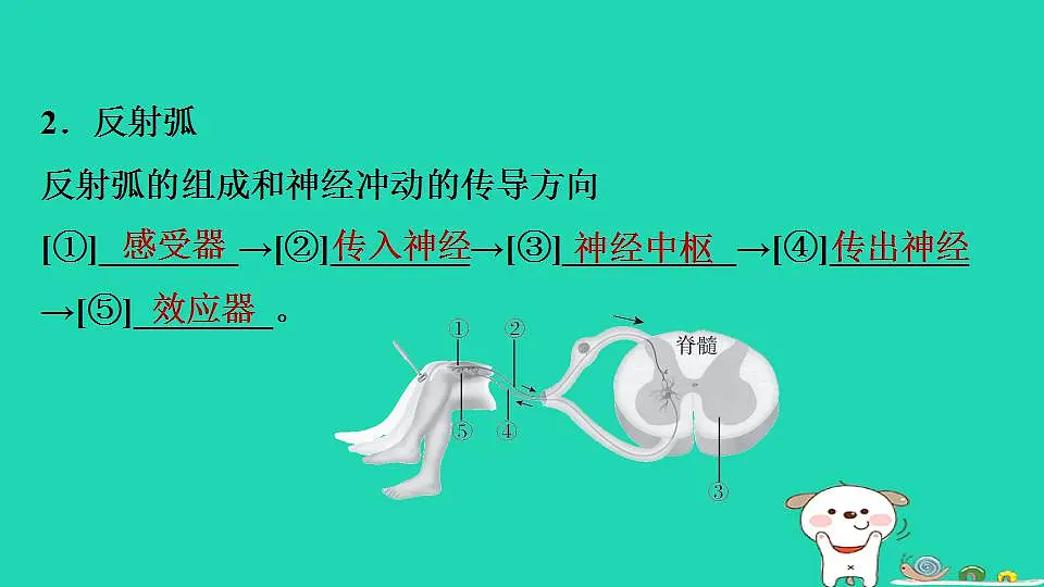 17844148第4页