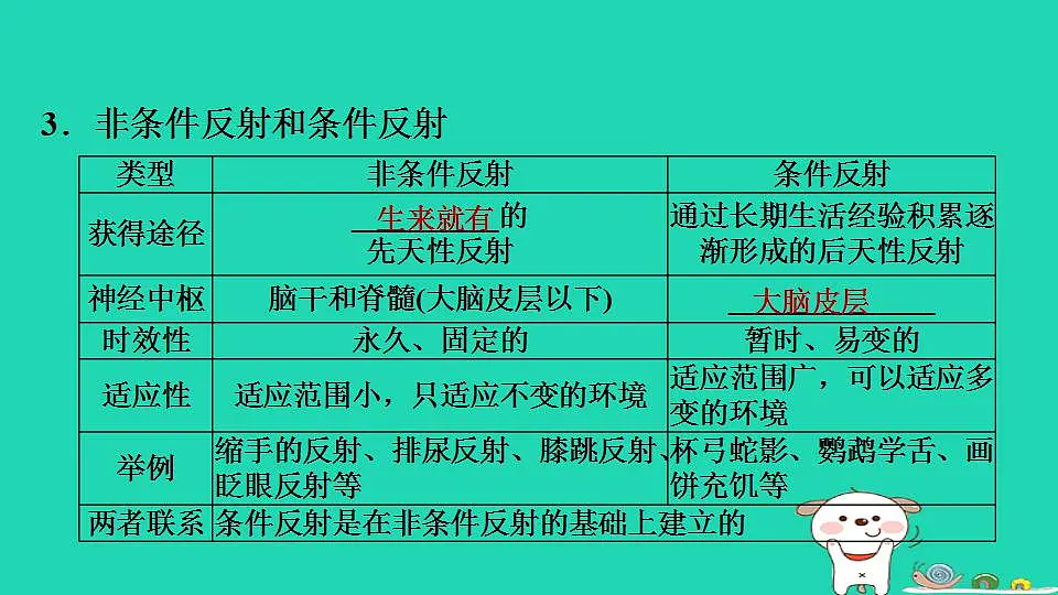 17844148第5页
