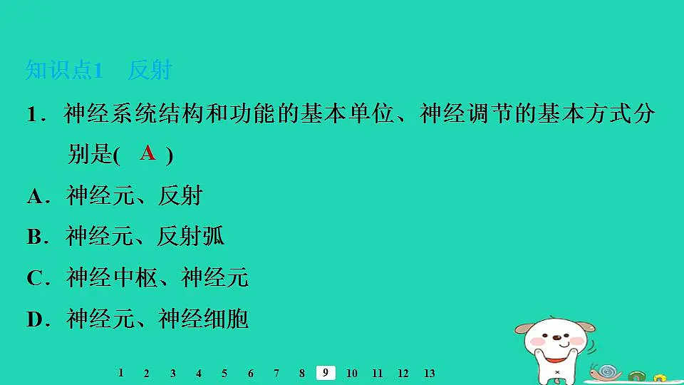 17844148第7页