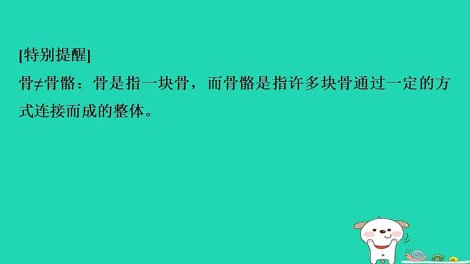 17844149第4页