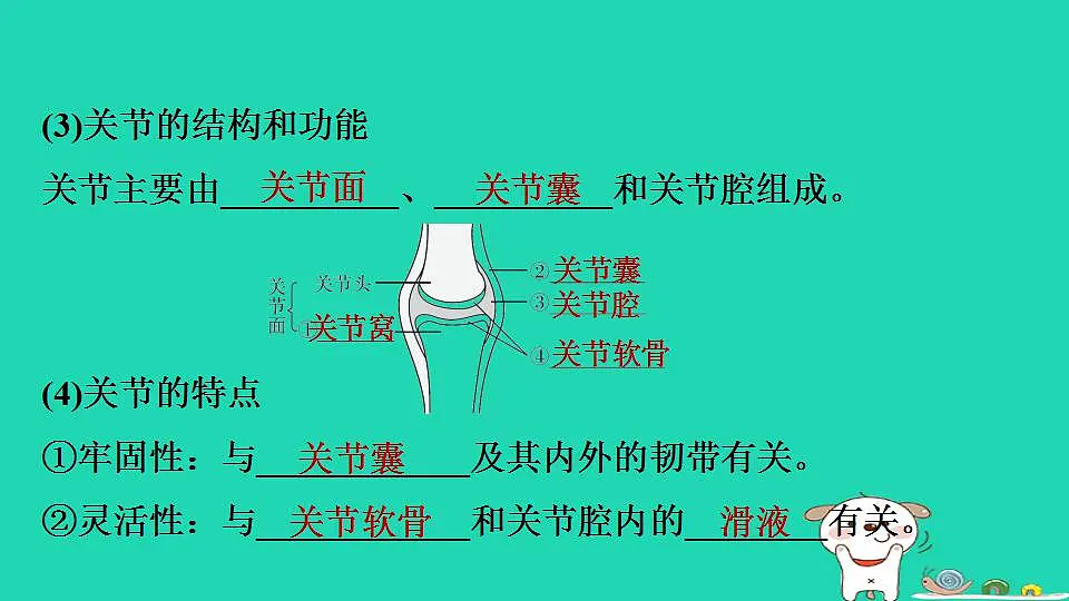 17844149第5页