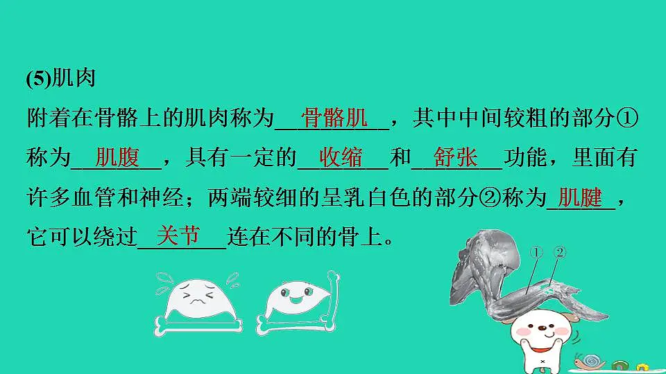 17844149第6页