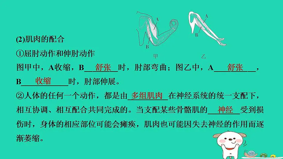 17844149第8页