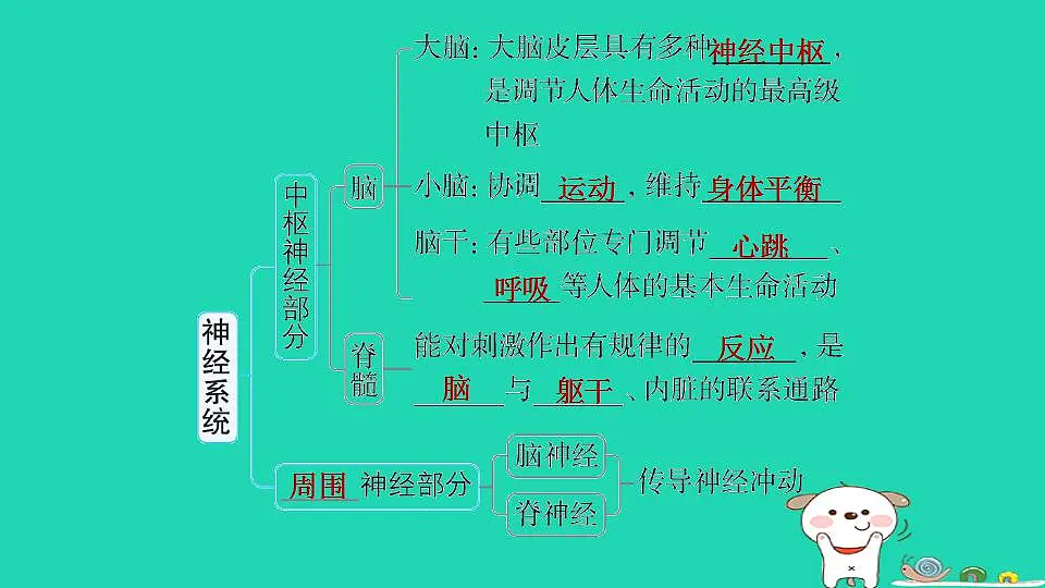 17844150第4页