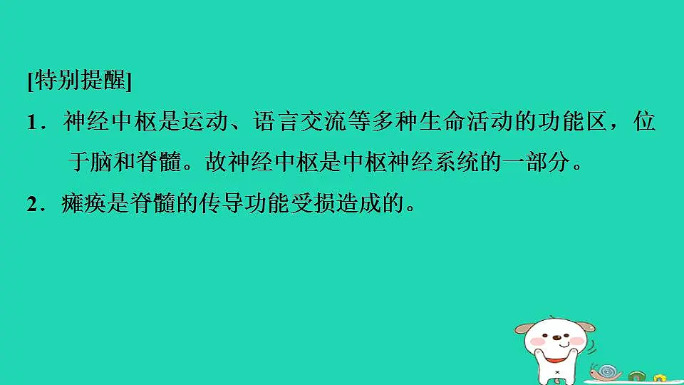 17844150第5页