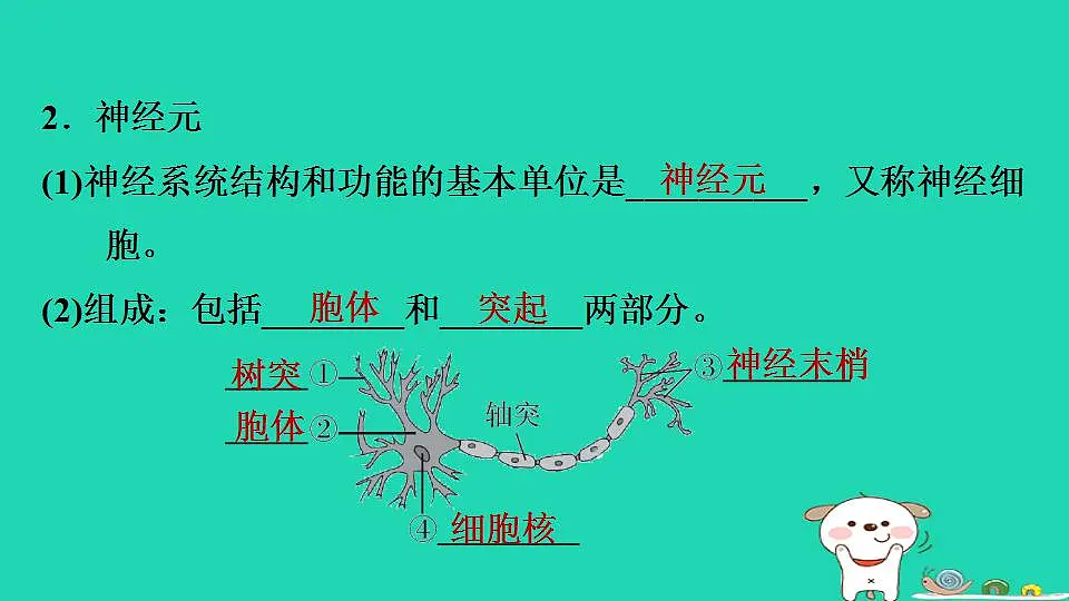 17844150第6页
