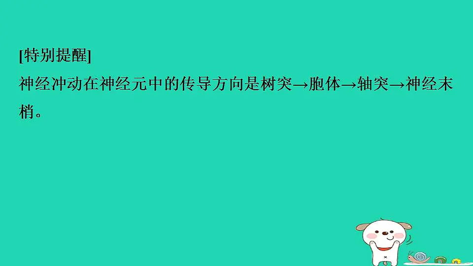 17844150第7页