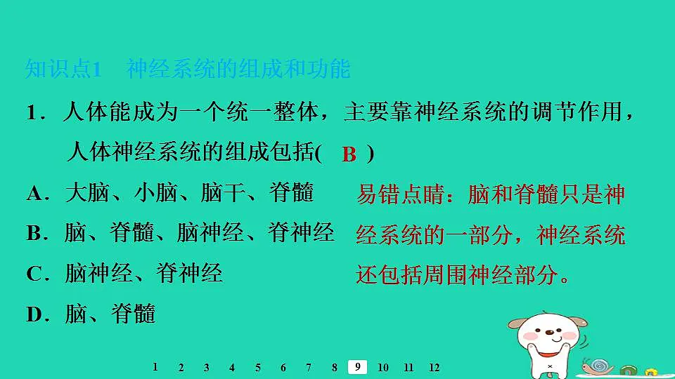 17844150第8页