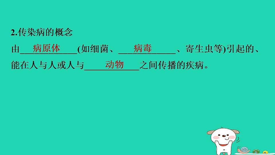 17844151第4页
