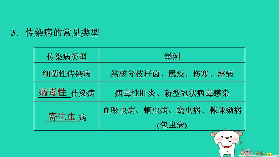 17844151第5页
