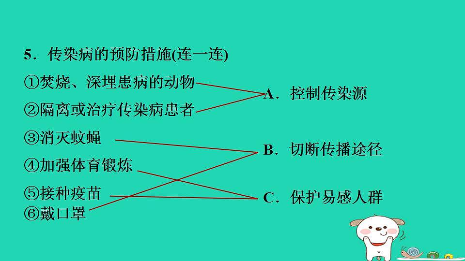 17844151第7页