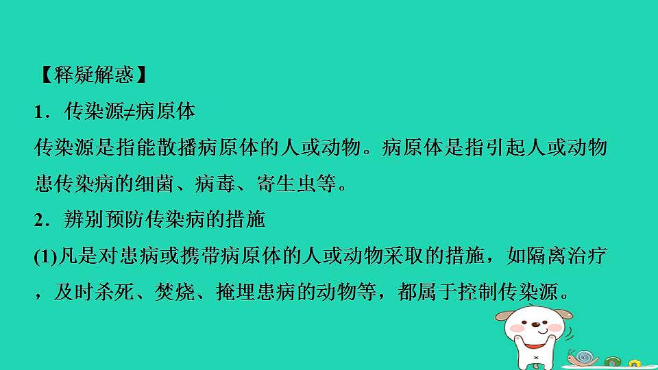17844151第8页
