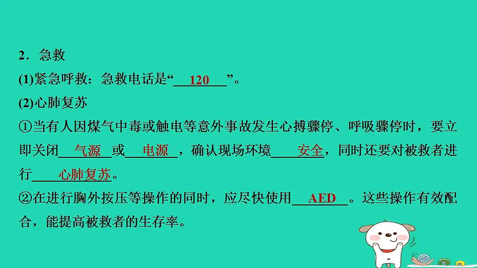 17844152第7页