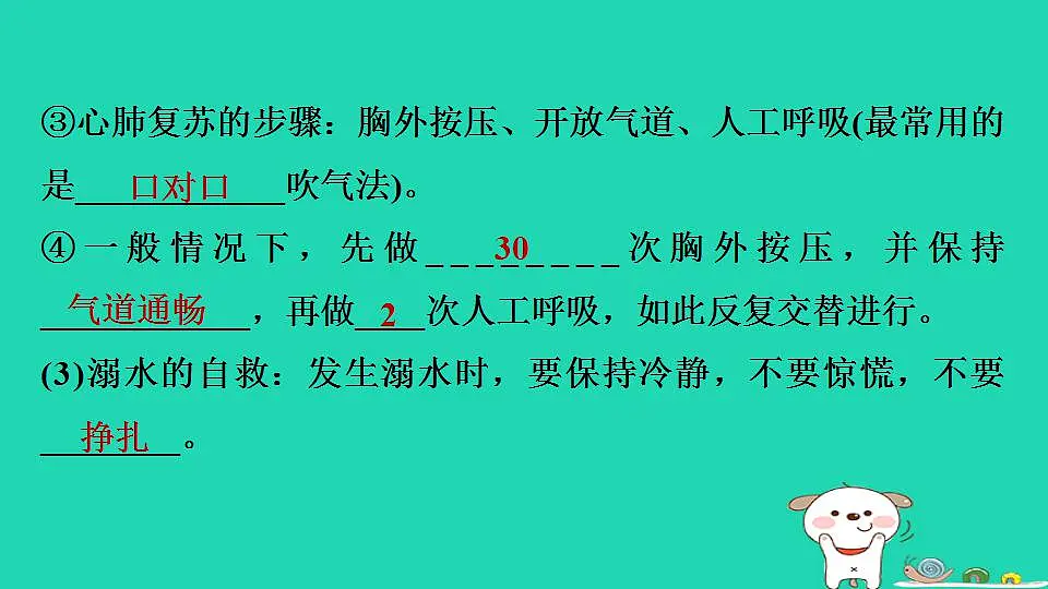 17844152第8页