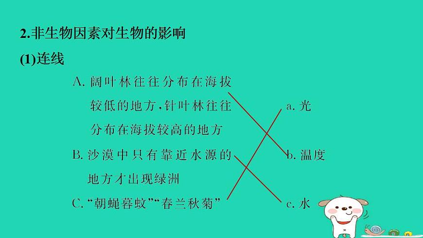 17844153第4页
