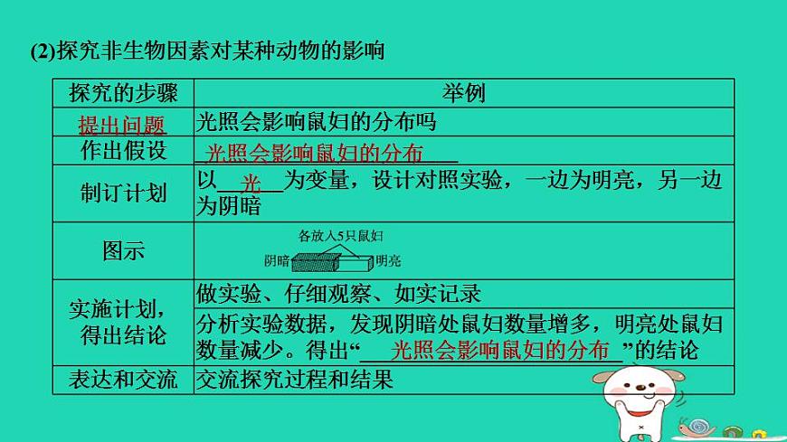 17844153第5页