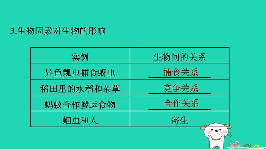 17844153第6页