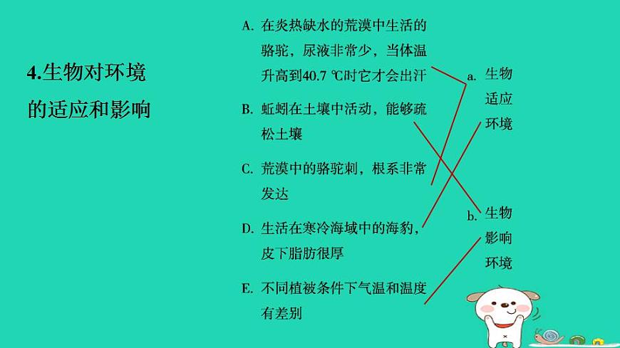 17844153第7页