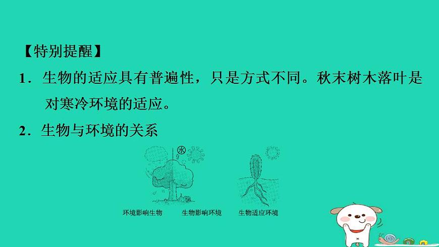 17844153第8页