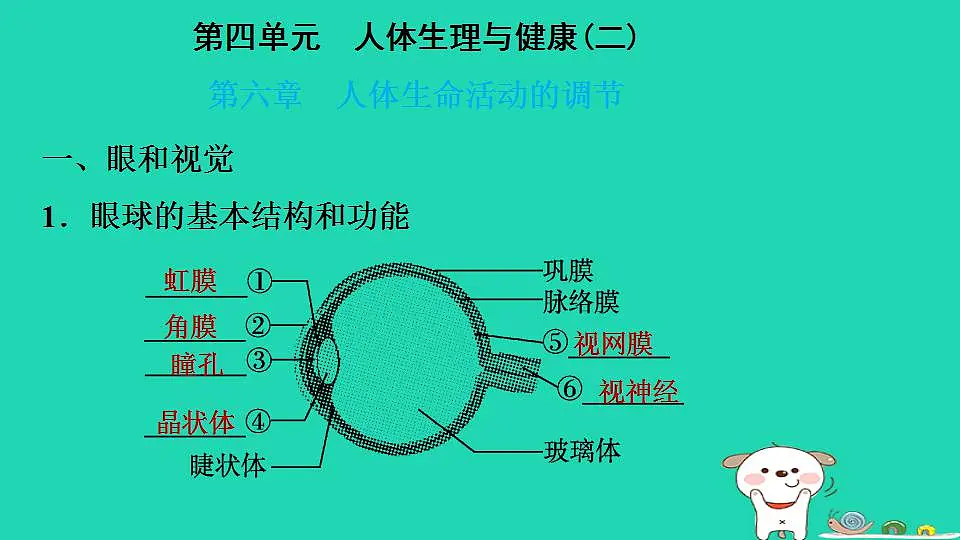 17844155第2页