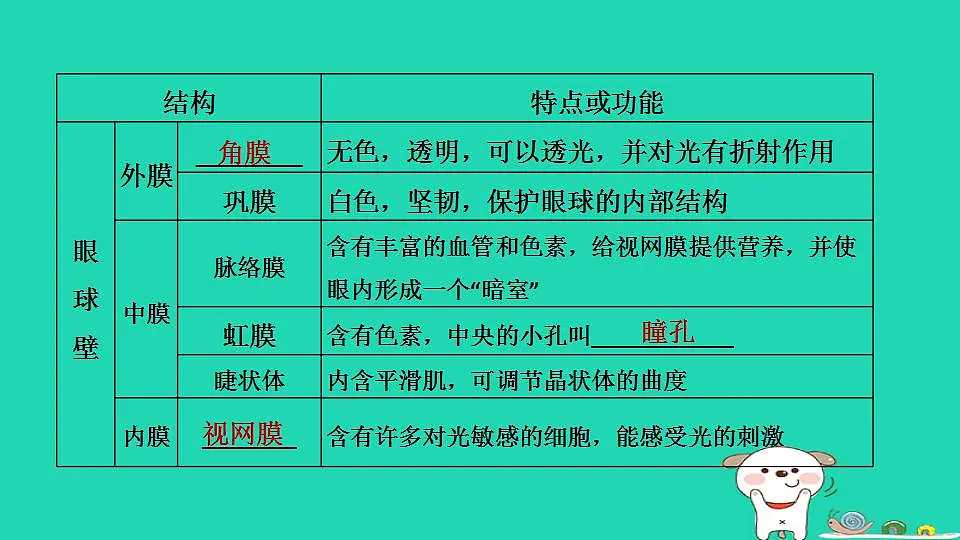 17844155第3页