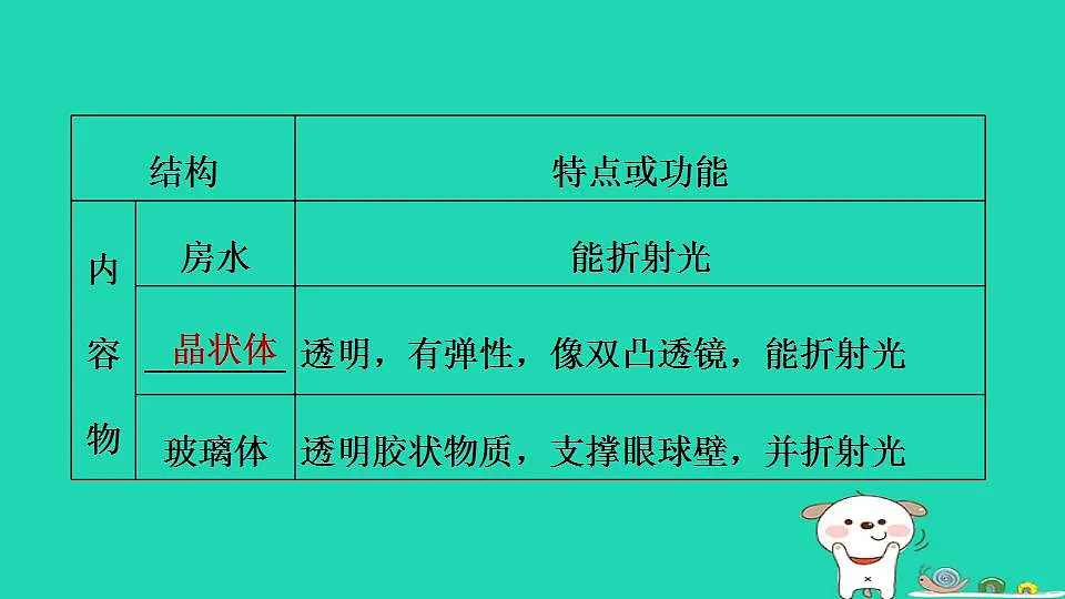 17844155第4页