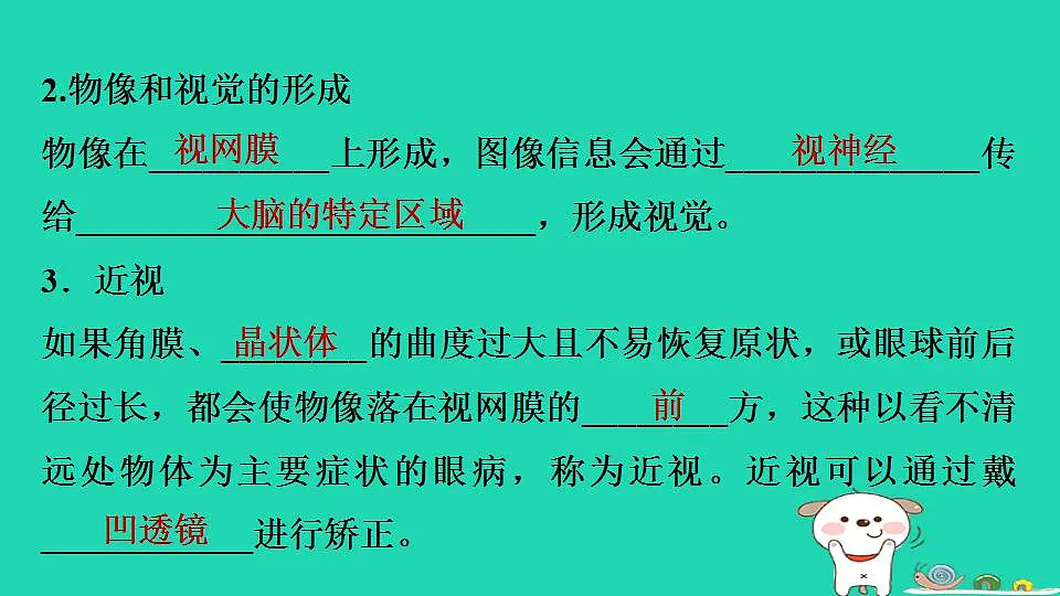 17844155第5页