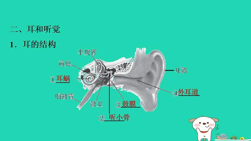 17844155第6页