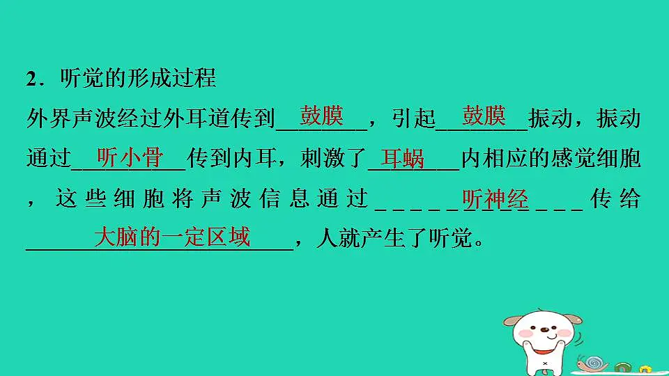 17844155第7页