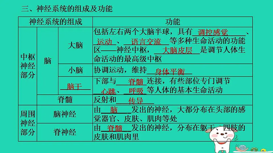 17844155第8页
