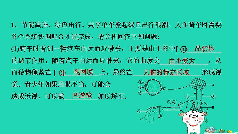 17844156第2页