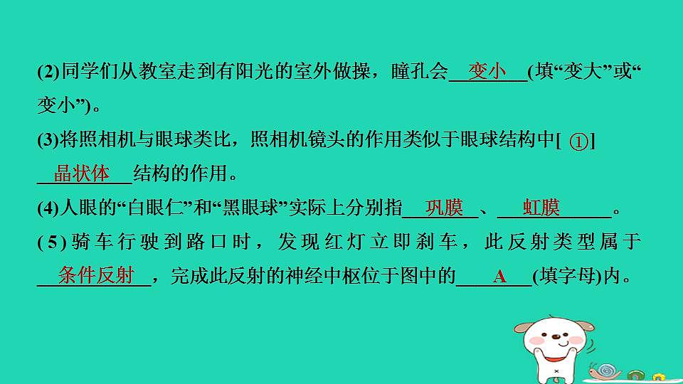 17844156第3页
