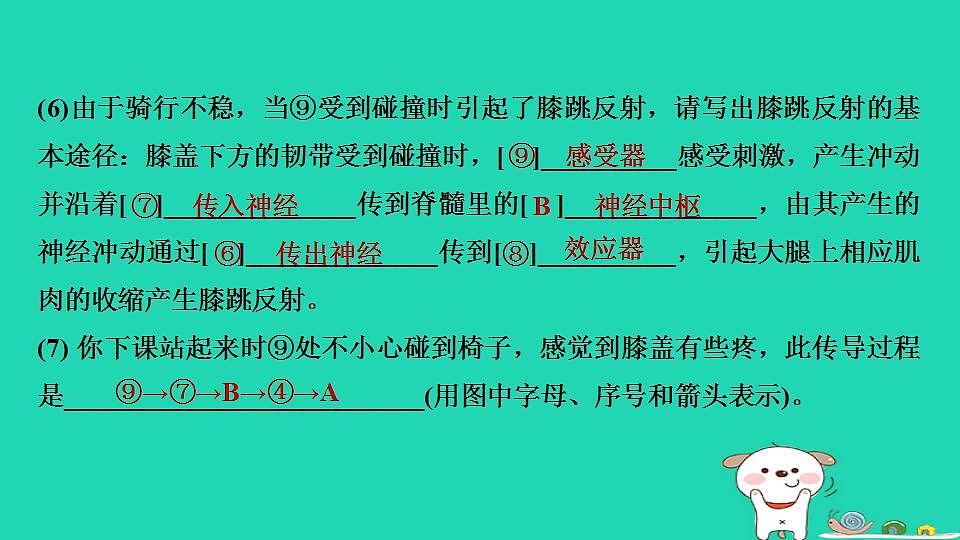 17844156第4页