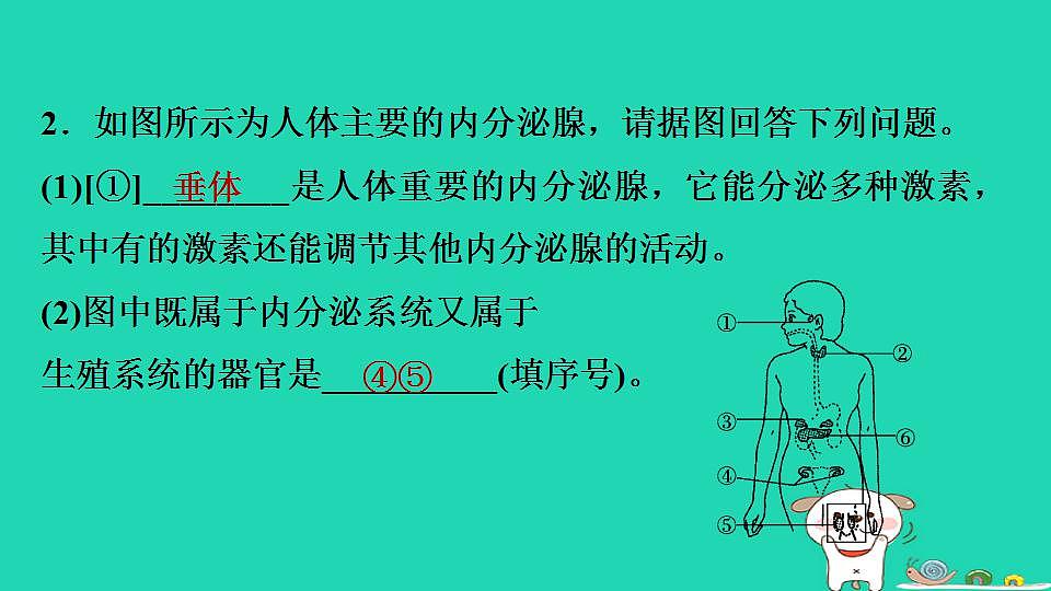 17844156第5页