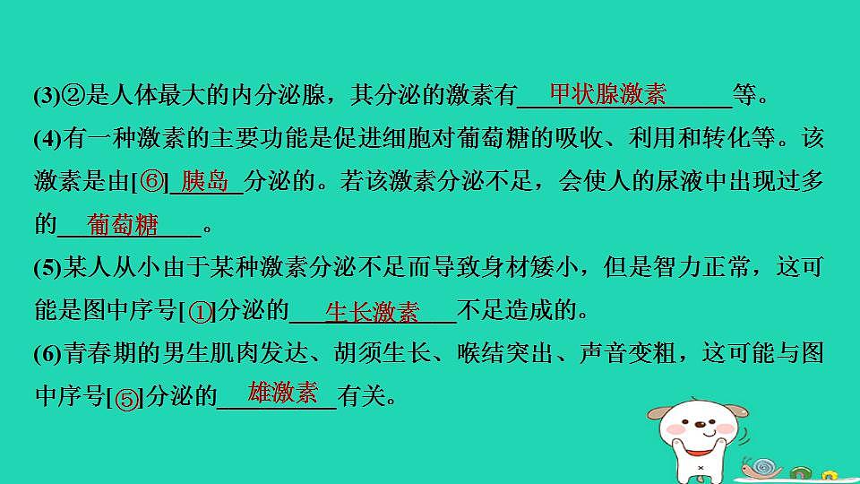 17844156第6页