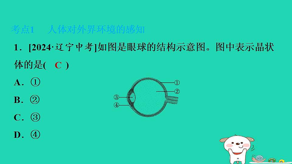 17844157第2页