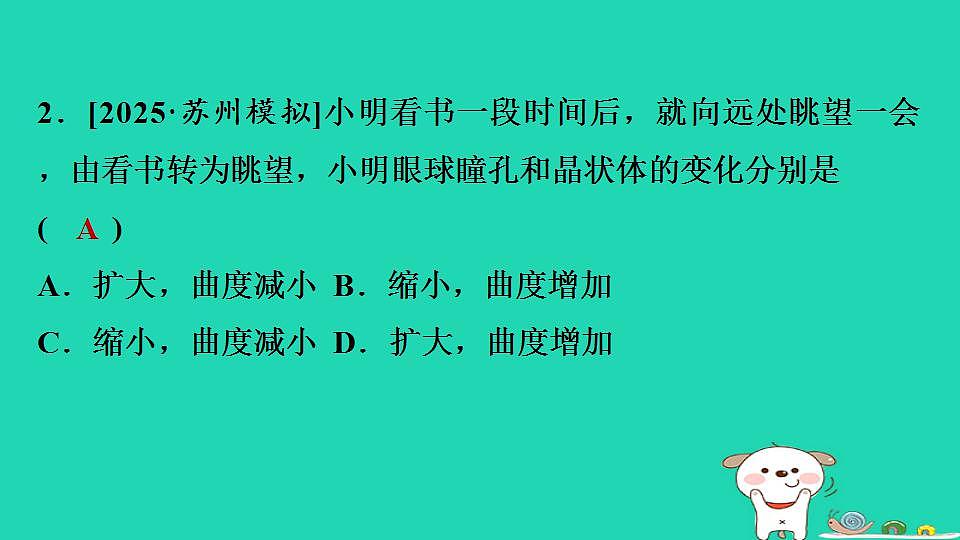 17844157第3页