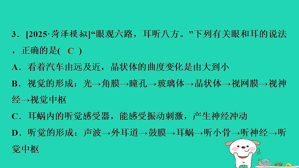 17844157第4页