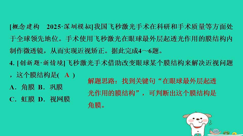 17844157第5页
